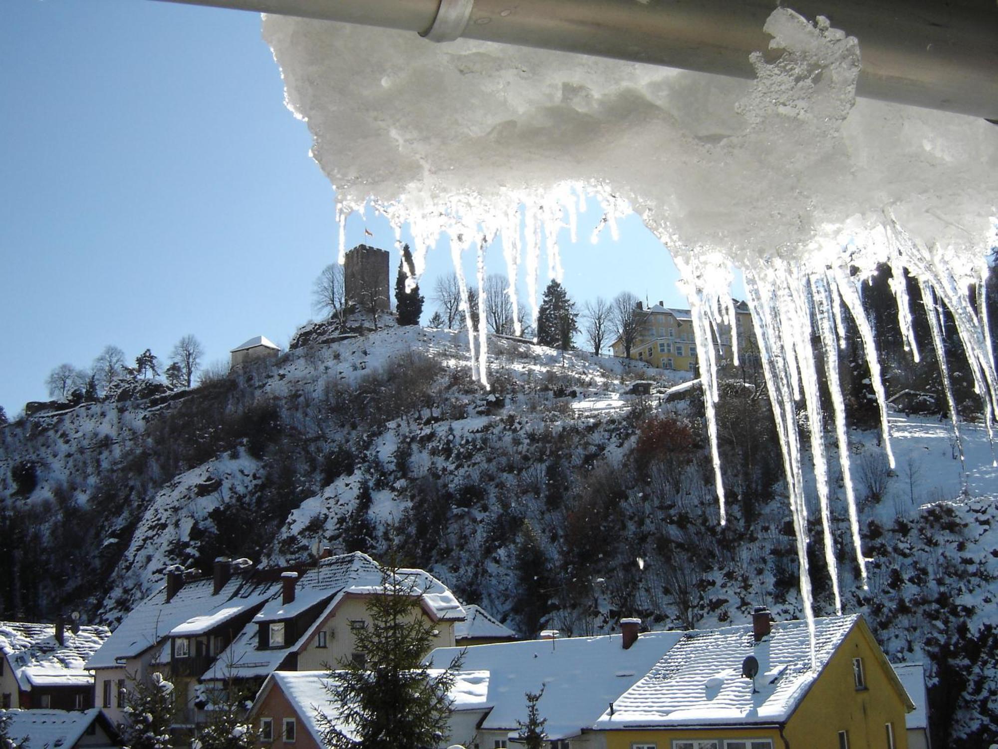 Schützen Hornberg